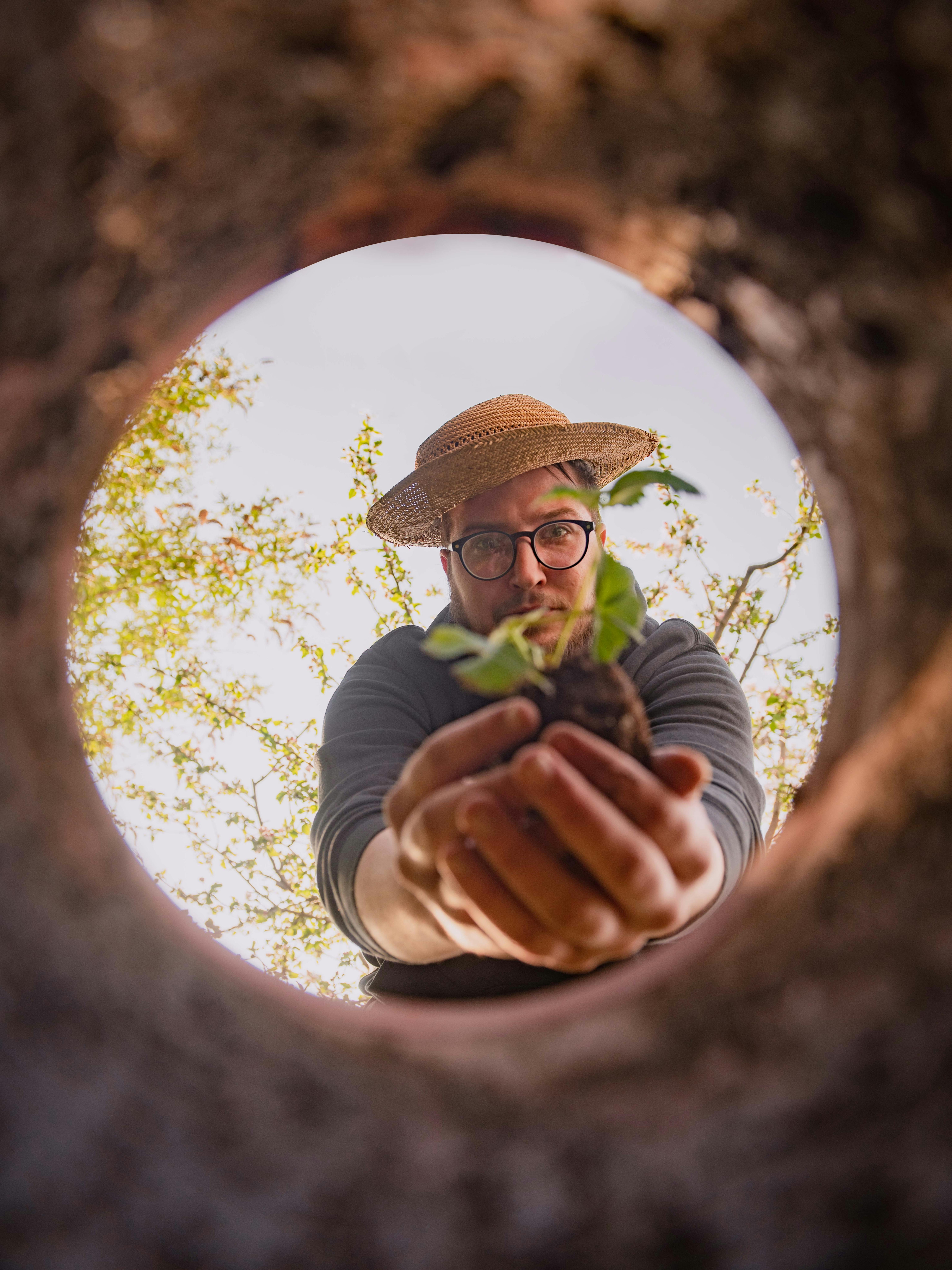 Man planting a seedling, captured creatively through a hole, emphasizing gardening and growth.