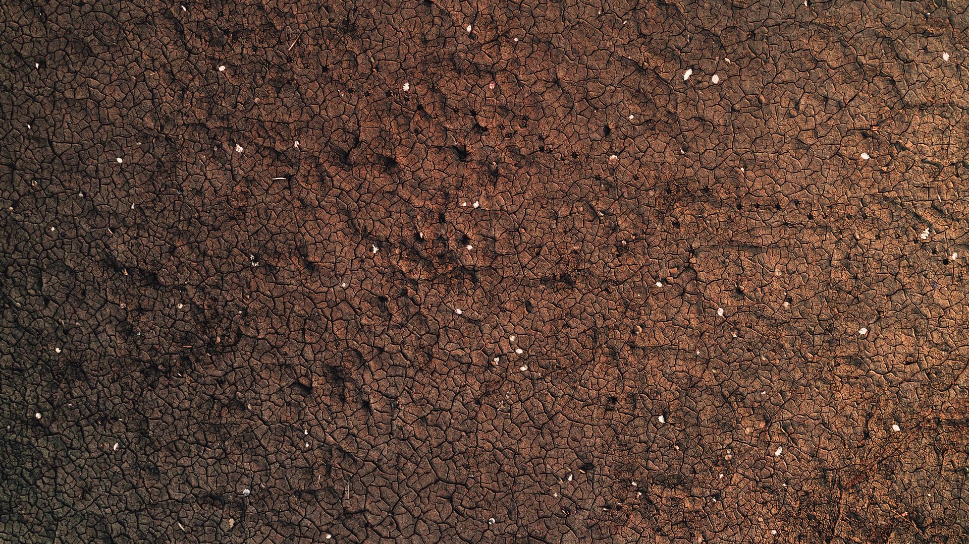 Abstract background of rough cracked brown surface of dry ground with white spots
