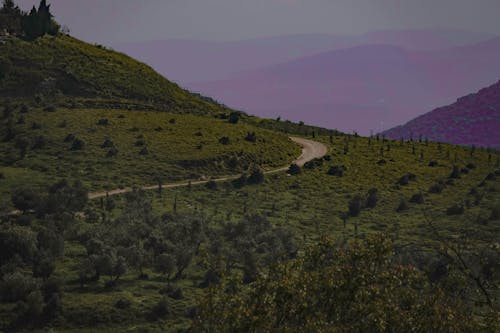 תמונתנוף, 森林 的 免费素材图片