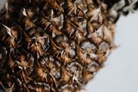 Whole unpeeled pineapple on white background