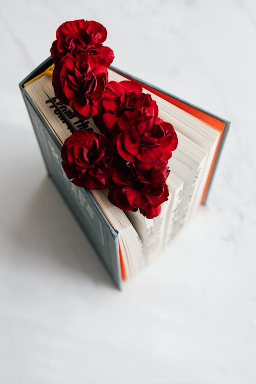 Free Fragile flowers put inside open book Stock Photo