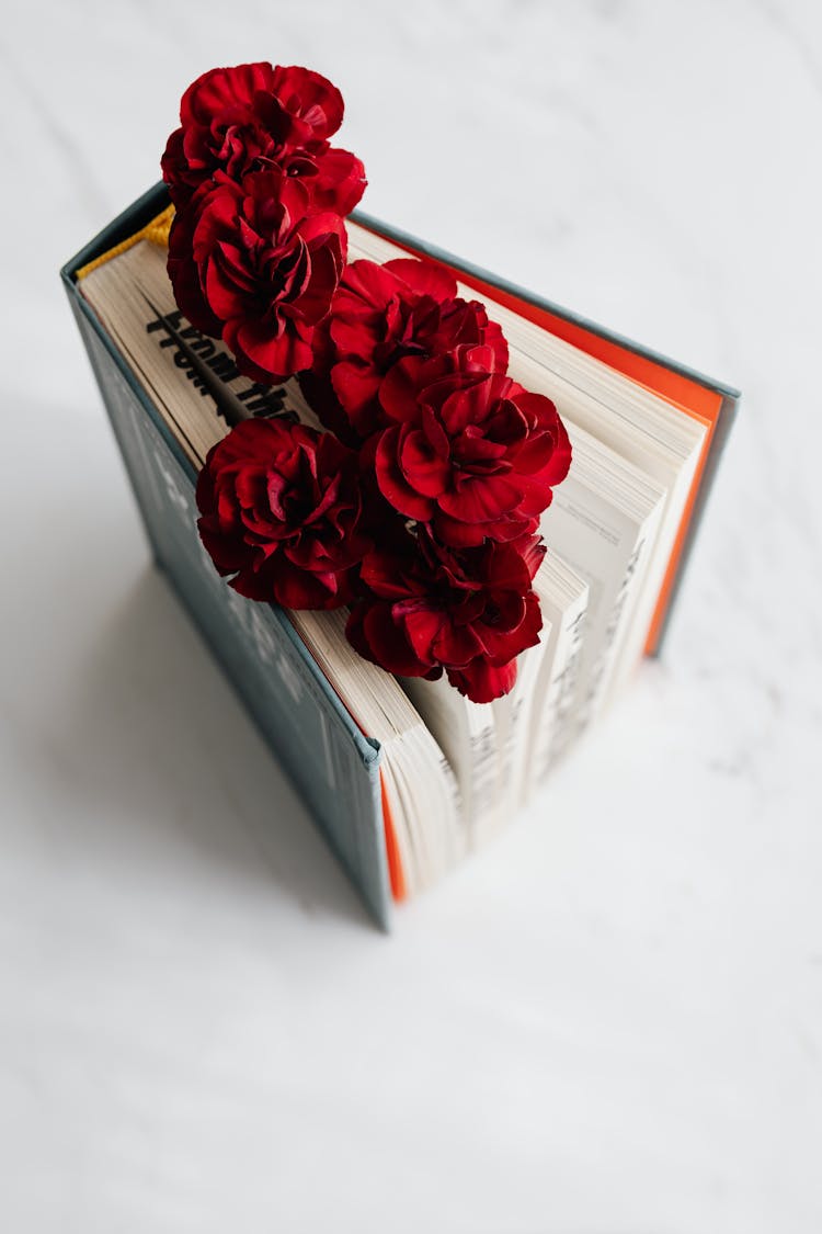 Fragile Flowers Put Inside Open Book