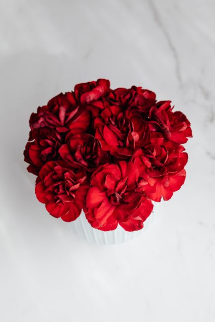From above of bunch of vivid red blossoms in white decorative flowerpot on white marble table