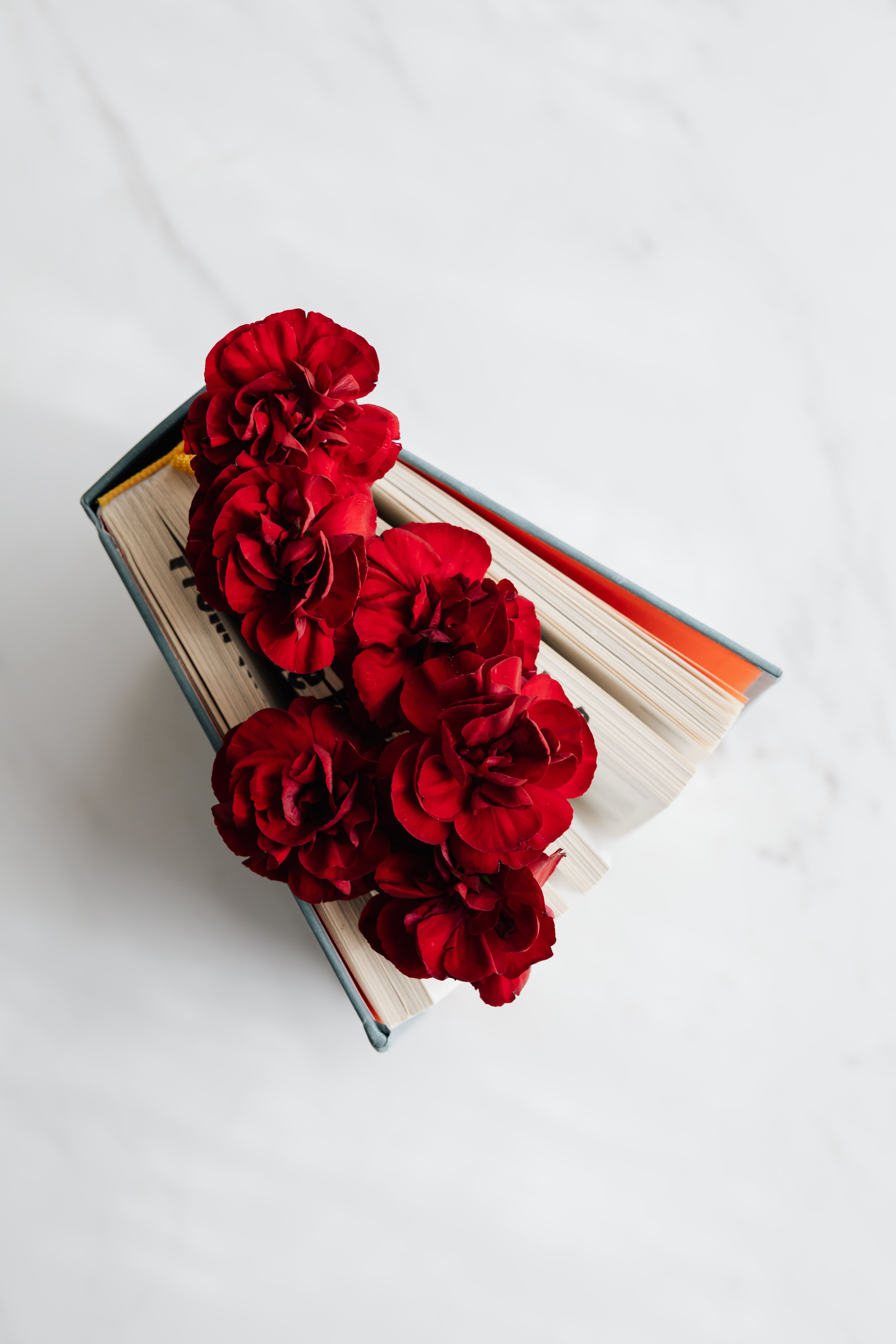 From above of open book with vivid red flowers between pages standing on white marble surface in soft daylight