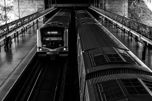 Grayscale Photo of a Train Station