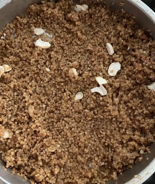 Free stock photo of quinoa
