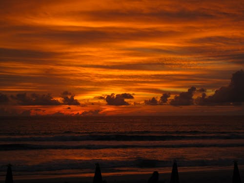 ゴールデンアワー, ドラマチックな空, ビーチの夕日の無料の写真素材