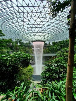 Indoor waterfall surrounded by greenery — photo by Moments Made on Pexels