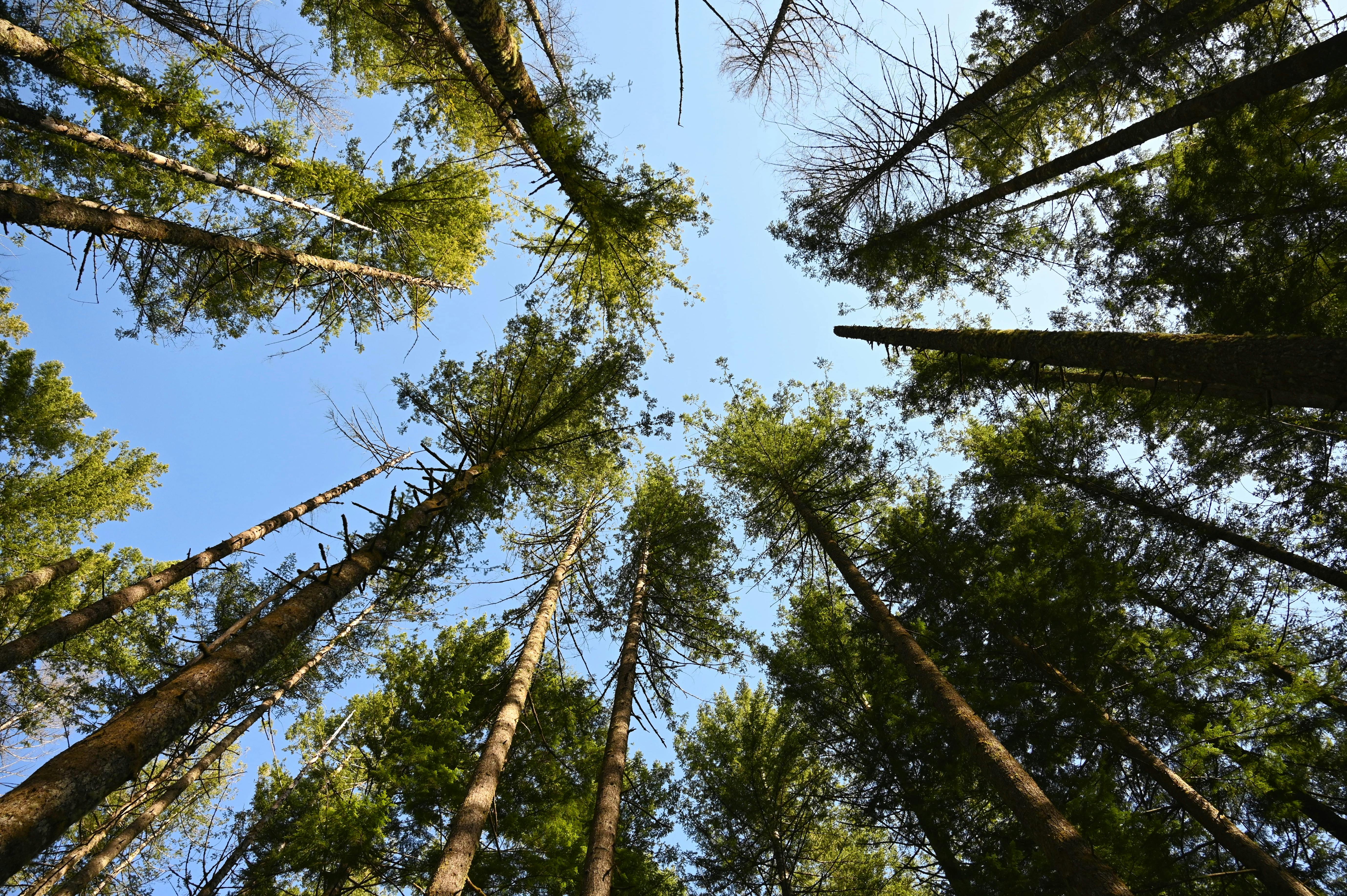 UConn climate conference focuses on building resilience across New England — Photo by Lin Zhu on Pexels