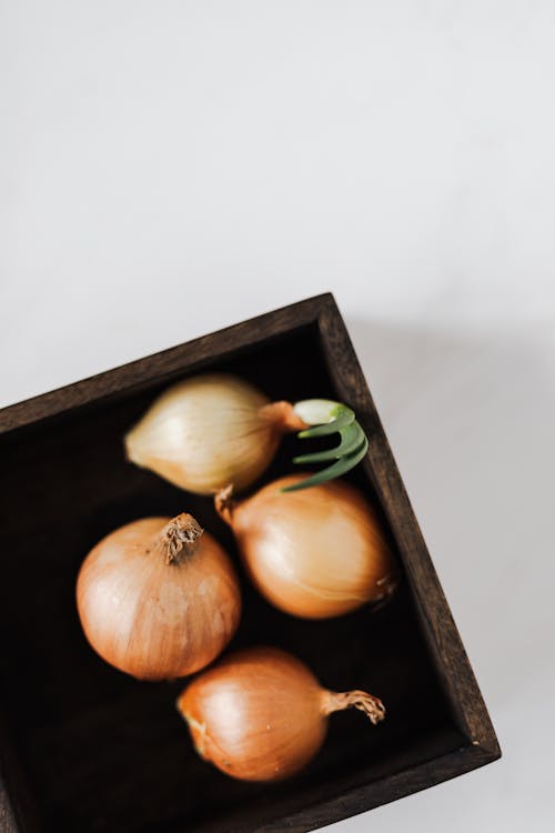 Raw yellow onions in square plate on white background