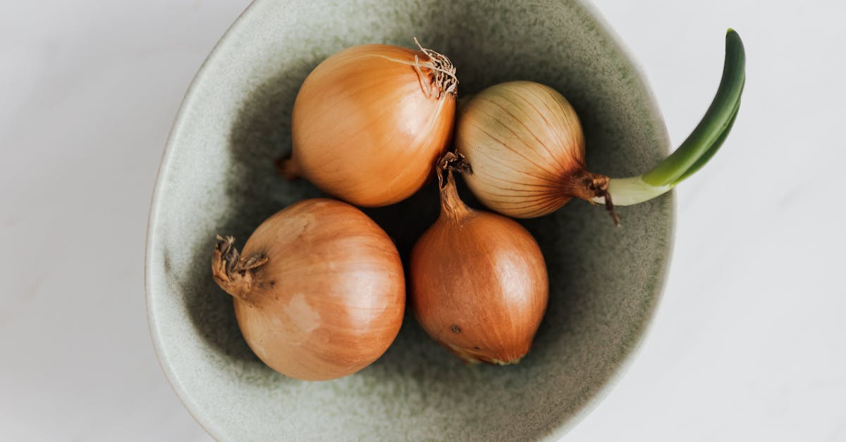 How to keep green onions fresh longer