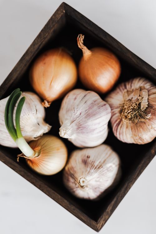 Free From above of composed organic yellow onions with one regrowing bulb and garlic in square ceramic pot placed on white background Stock Photo