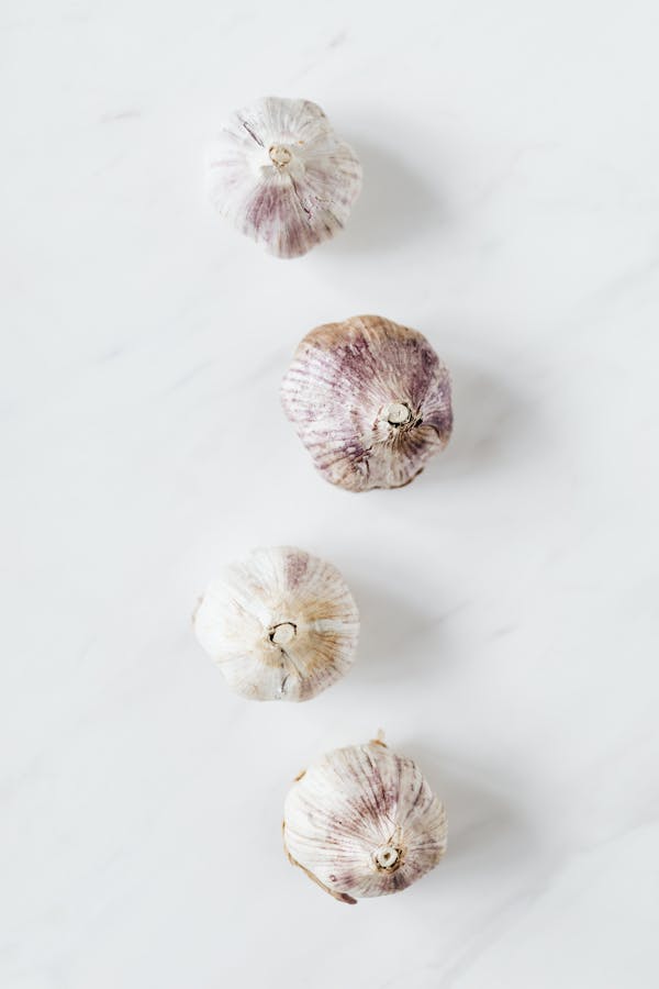 Fresh garlic selection