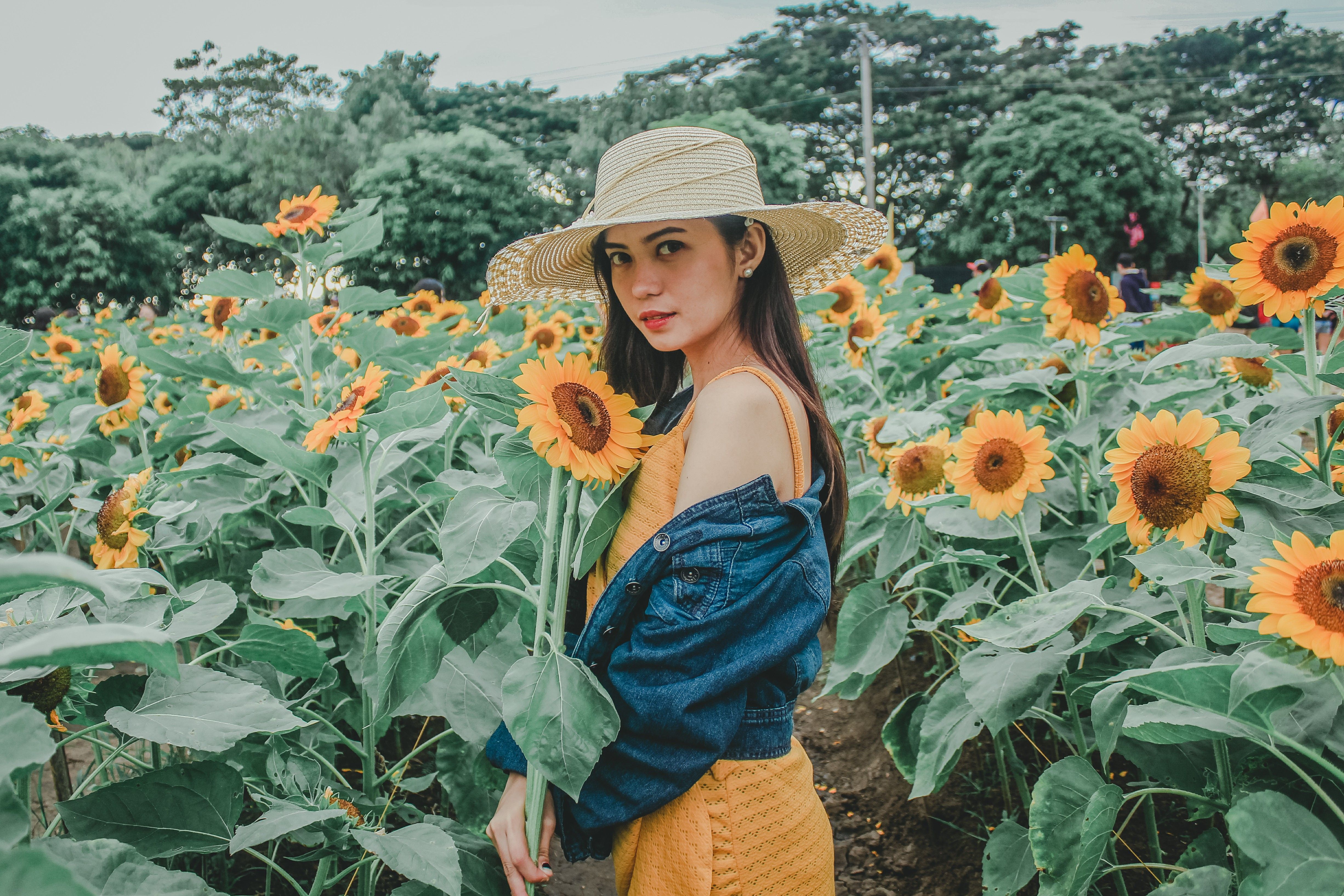 Woman in Yellow Dress holding Sunflower · Free Stock Photo