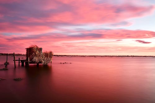 Wooden construction near foggy sea under pink sky at sundown