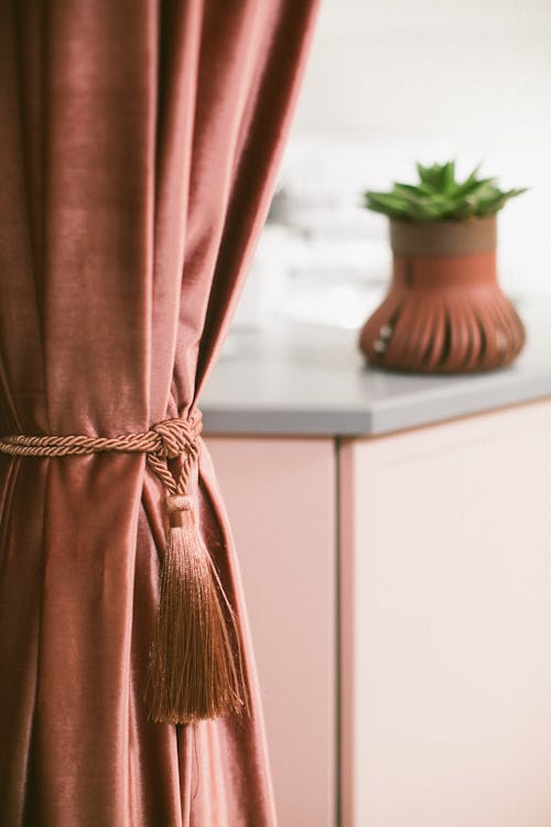 Free Room with stylish curtains and plant in pot Stock Photo