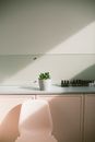 Interior of cozy modern beauty salon with pink chair and furniture with white ceramic plant pot and assorted nail polish