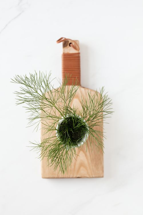 Free From above of bunch of fresh dill in small pot placed on wooden cutting board on white marble surface Stock Photo