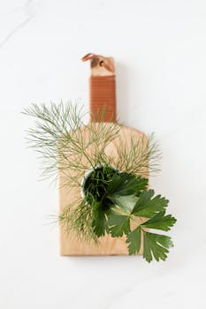 fresh dill image 4