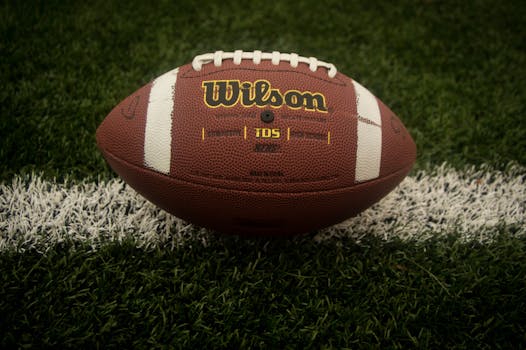 This picture shows an american football manufactured by Wilson lying on a football field. The football has the typical brown and redish color with some white lines painted on it and white laces on the top.