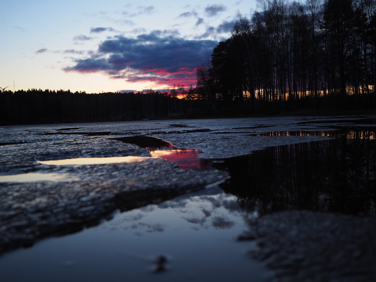 Person preparing fresh beet juice in a kitchen