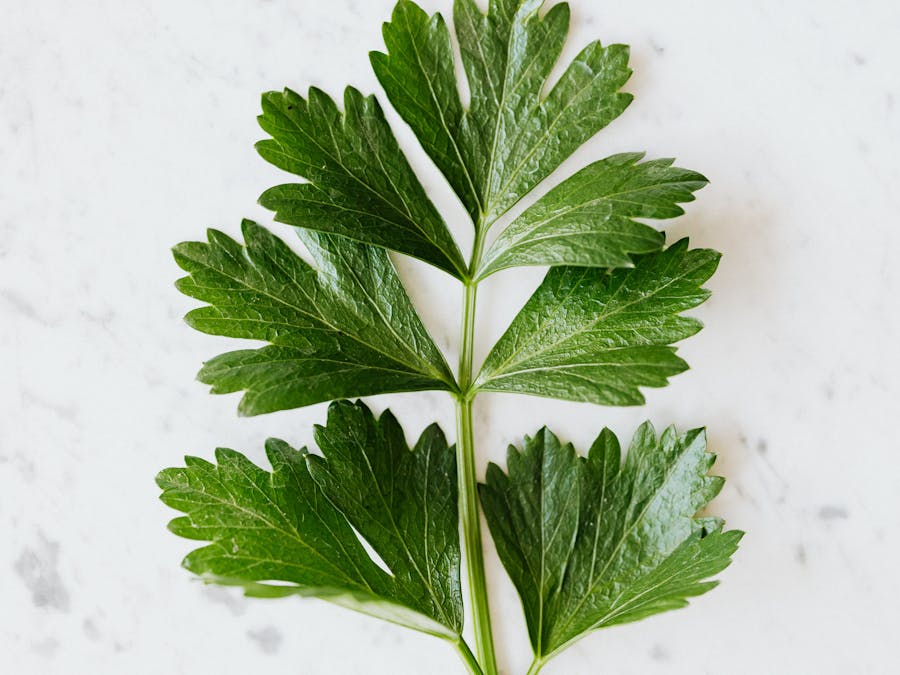 What to eat with white rice?