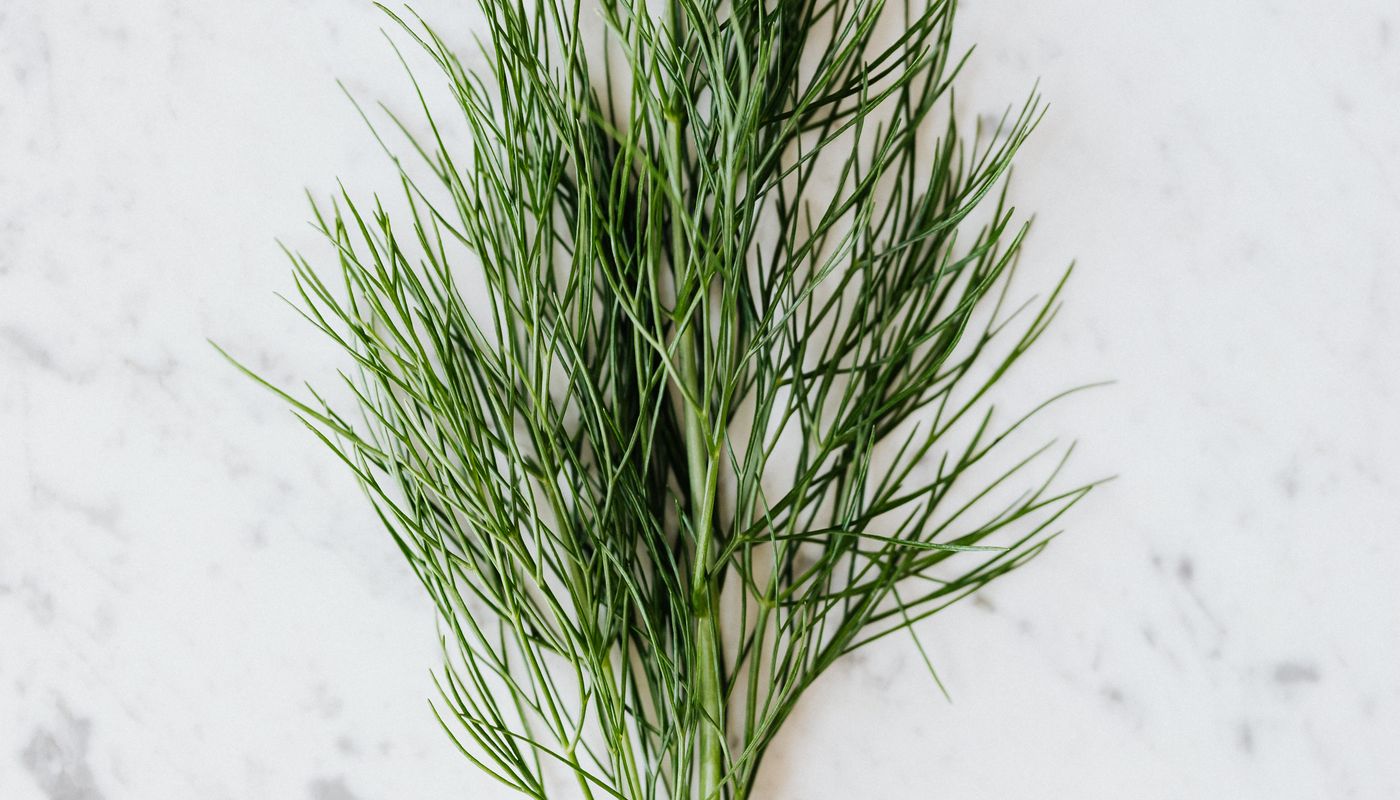healthy smoked salmon waffle — Bunch of fresh dill placed on table · Free. Photo: Pexels