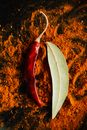Pepper pod on powder of ground spices