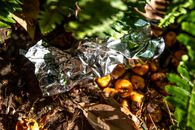 Yellow Round Fruits on Brown Dried Leaves