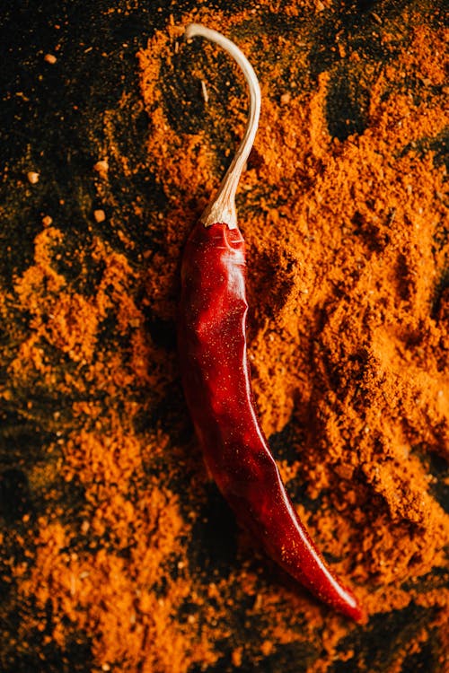 Free Red chilli pepper on powder of ground spices Stock Photo