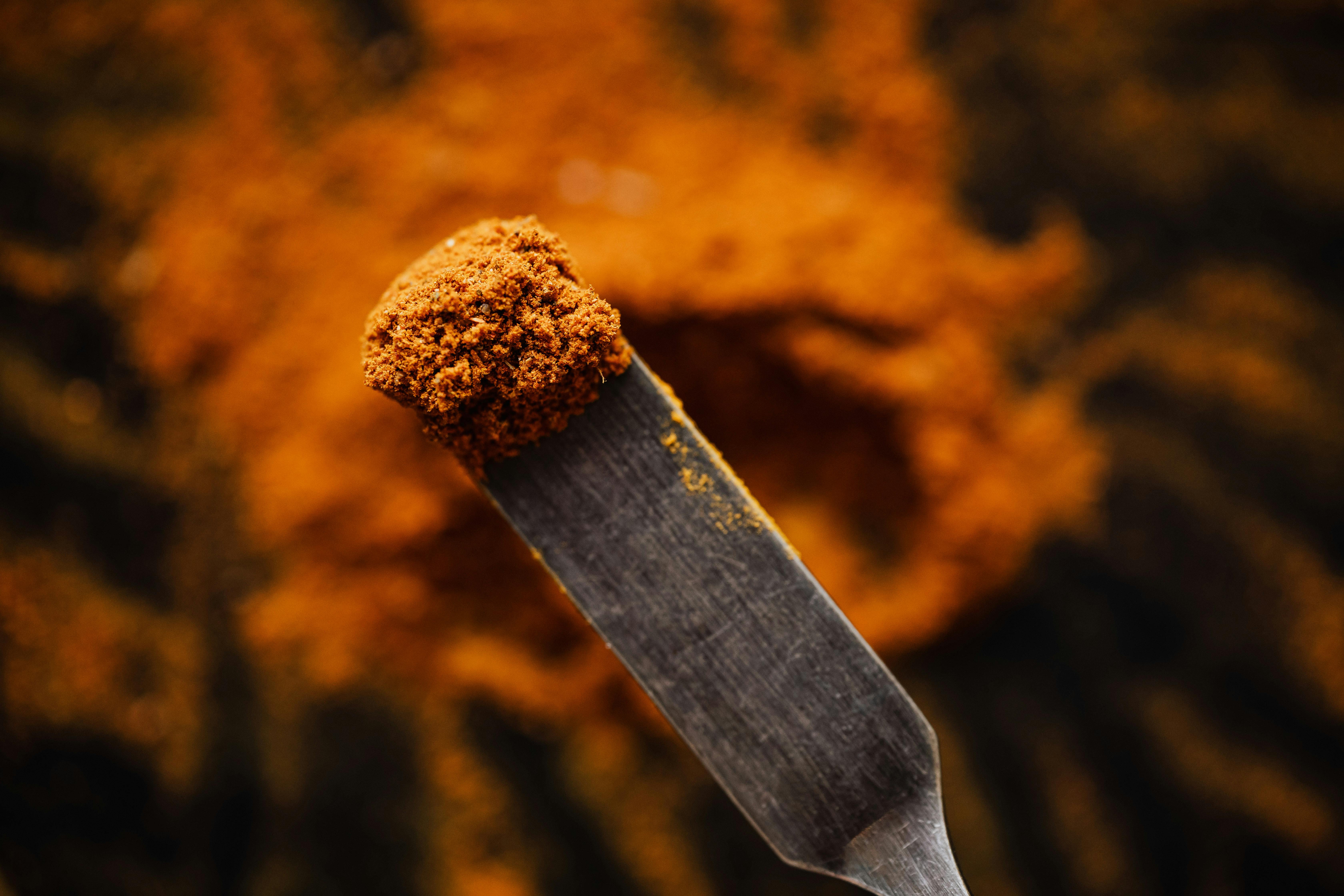 sample of ground spice on spatula