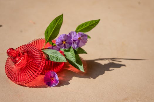 Vibrant purple flowers with green leaves in a red patterned vase on a sunlit surface.