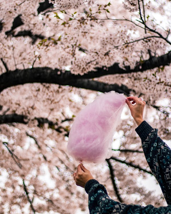 Person Holding White Cotton Candy
