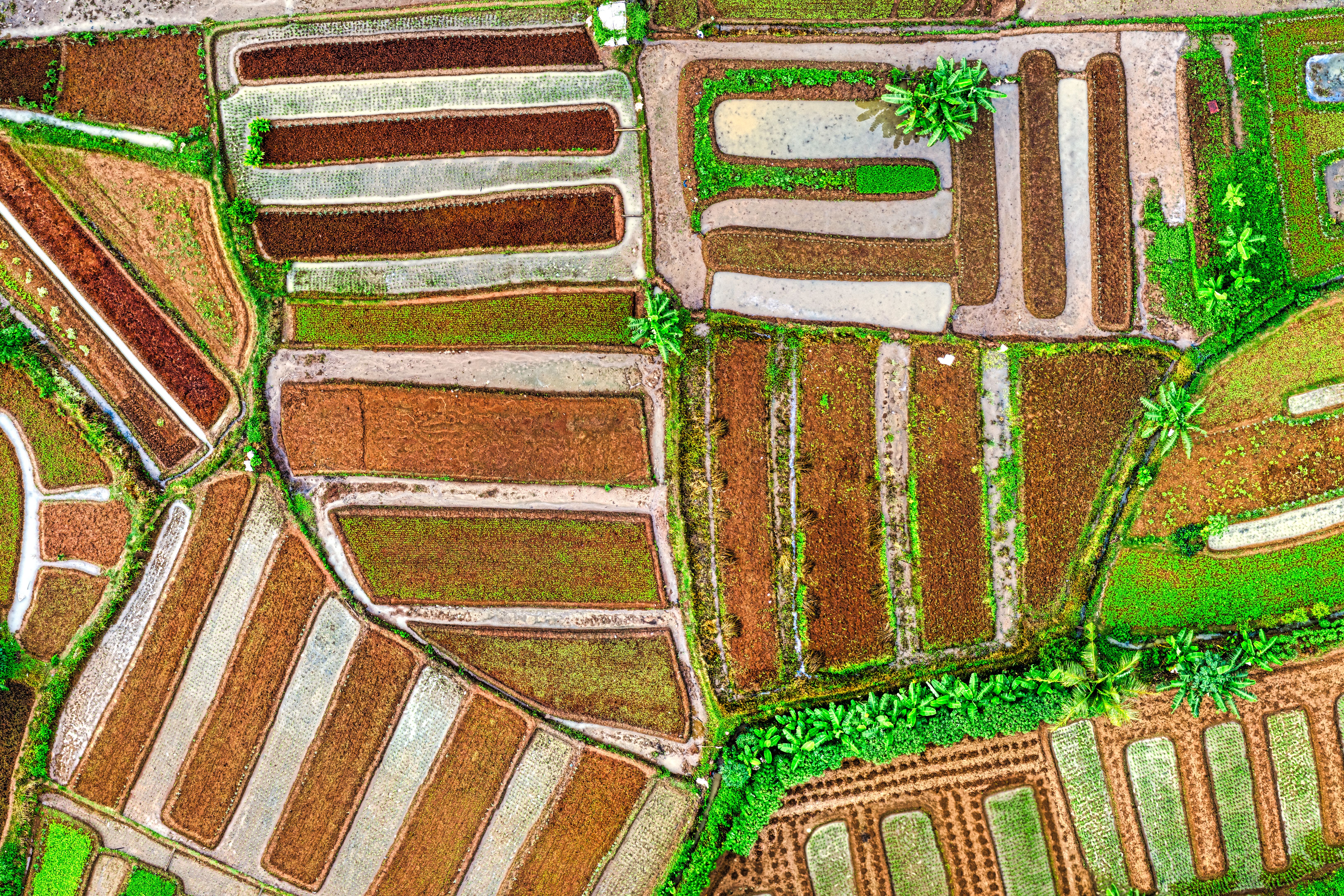 Africa's Regulatory Patchwork: How Governments Are