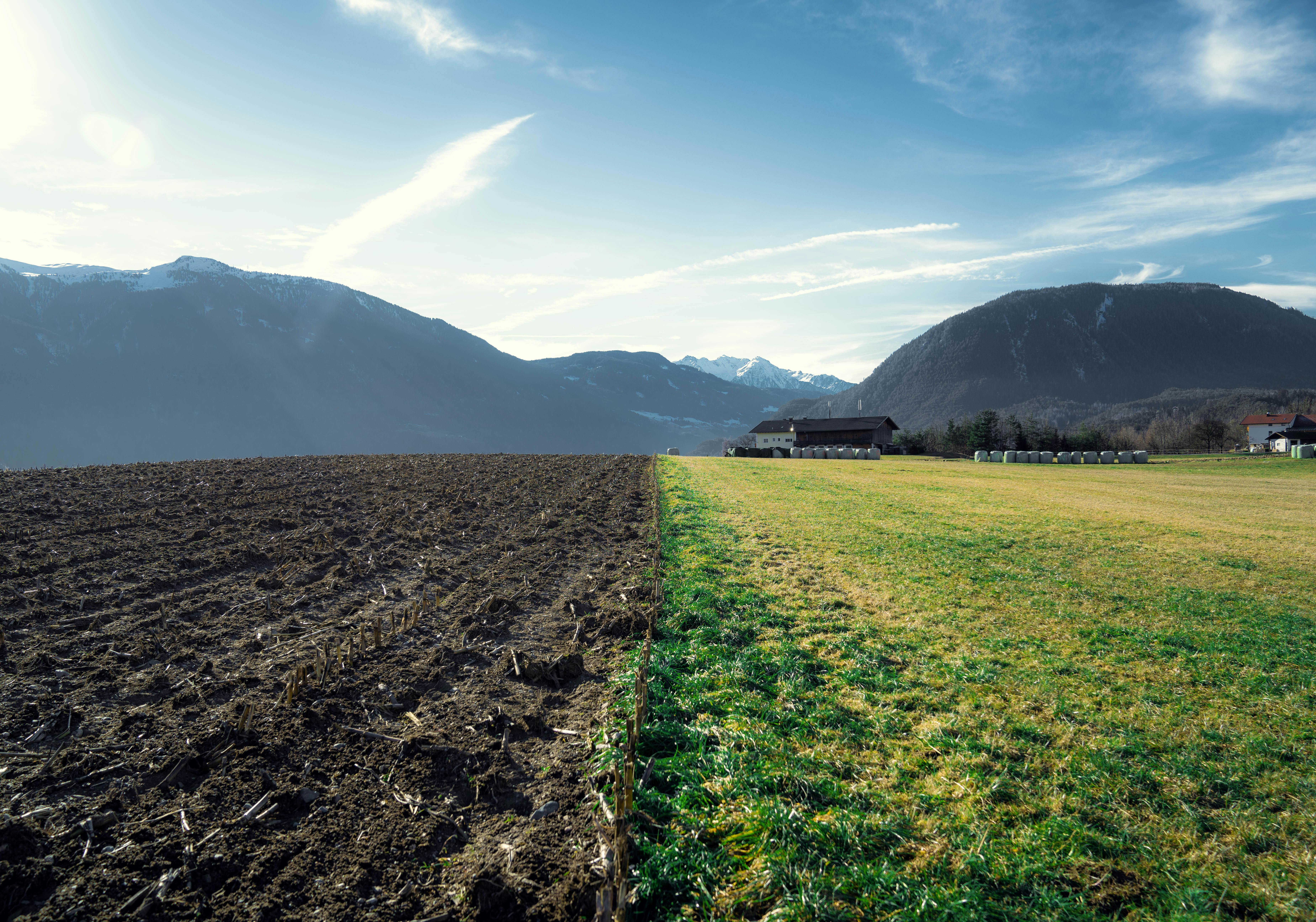 Rosyjskie embargo na eksport saletry amonowej podbija ceny nawozów