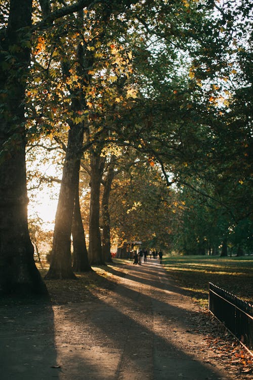 10+ Parkuhr Bilder und Fotos · Kostenlos Downloaden · Pexels Stock