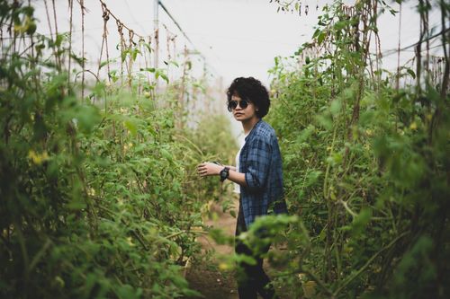 Free A woman wearing sunglasses walks through a lush tomato field, embracing nature. Stock Photo