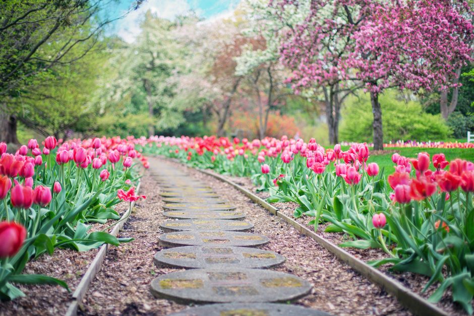 A Seasonal Arboretum Outing things to do with kids in asheville nc