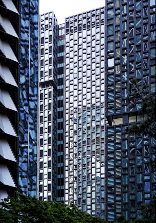 An Office Building with Glass Windows