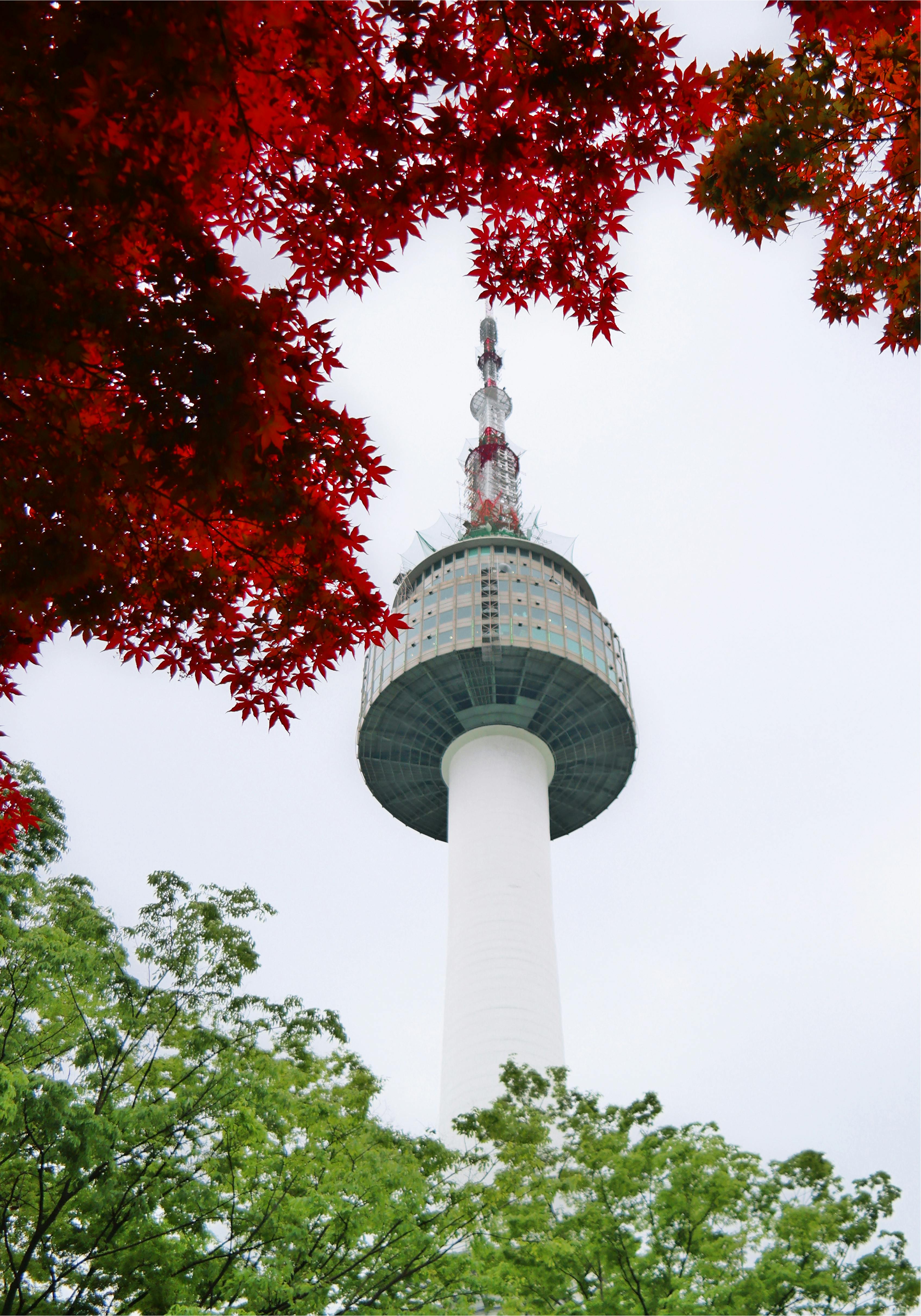 N Seoul Tower Visible Through Trees with Red Leaves · Free Stock Photo