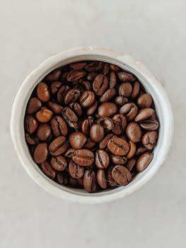 High-angle view of roasted coffee beans in a white cup on a neutral background.