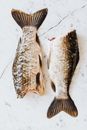 Photo of Two Raw Fish
