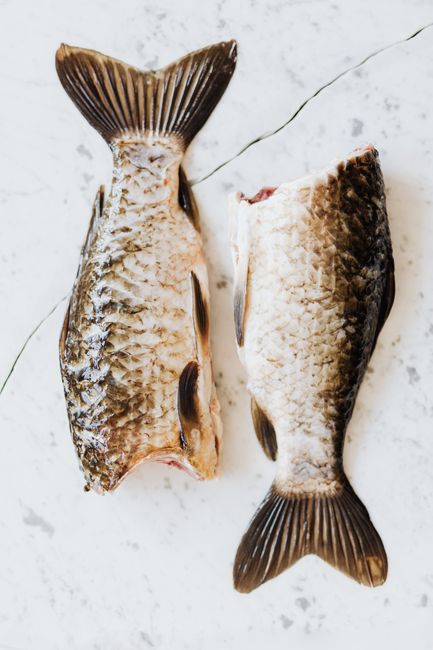cleaning raw fish preparation