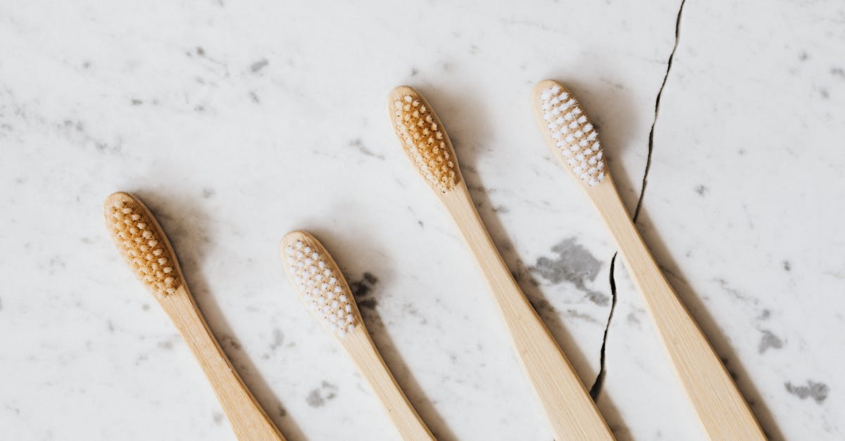 Bamboo Toothbrushes
