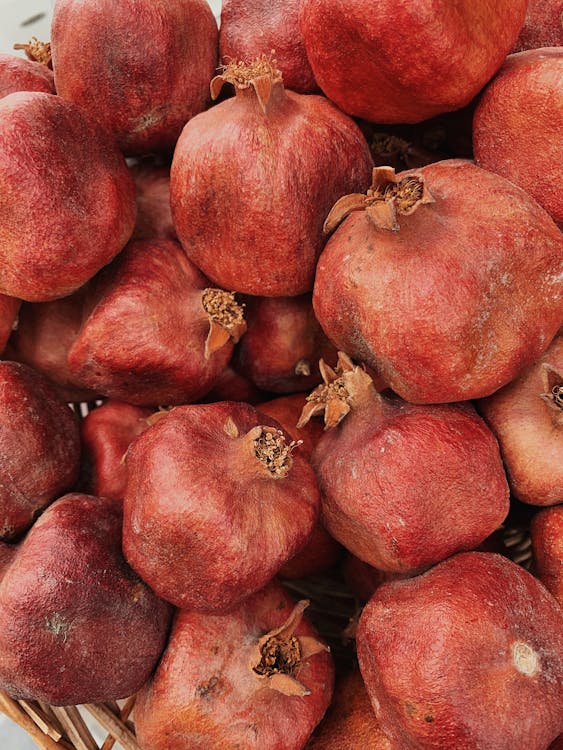 Foto profissional grátis de alimento, comida, fresco