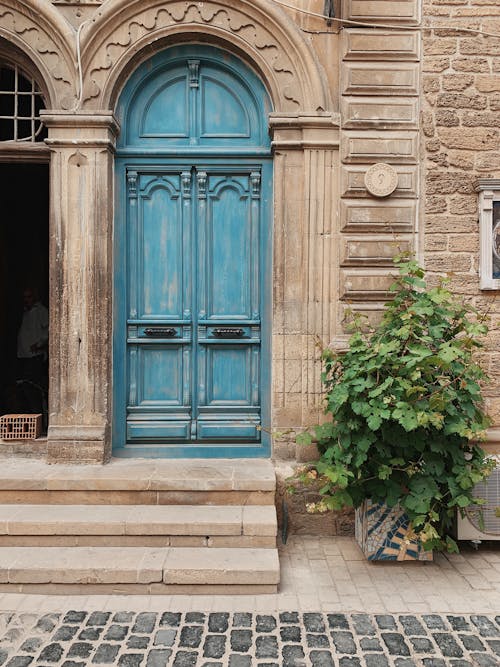 Exterior of aged stone ornamental building with arched blue door decorated with carving located near big green potted plant and cobblestone walkway