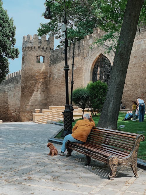 Person Sitting on Bench Near Brown Brick Building