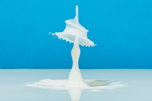 Dynamic close-up of a milk splash creating an artistic liquid shape on a blue backdrop.