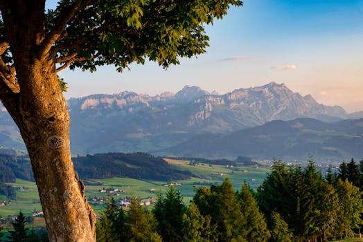 Stray Kids’ Felix Mengubah Penampilan Selama Tur di Amerika Utara karena Masalah Kesehatan - stray 1