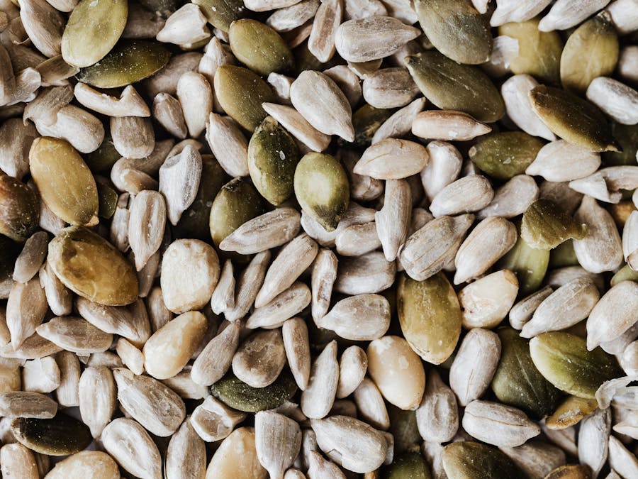 Is sweetcorn a carb or protein?